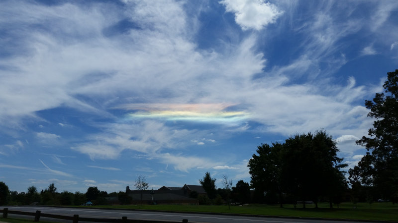 Circumhorizontal arc in TN