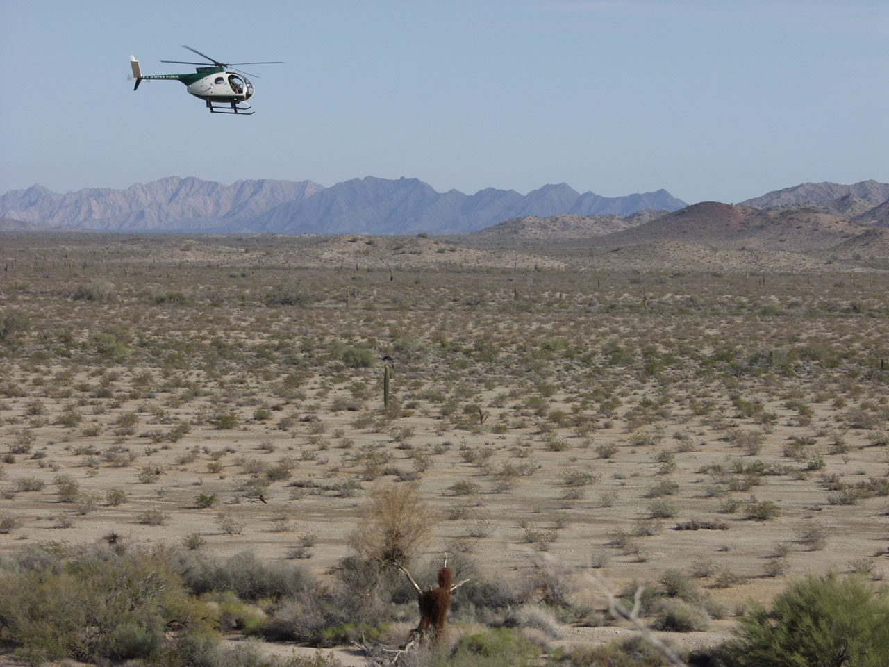 Click to enlarge el camino desert