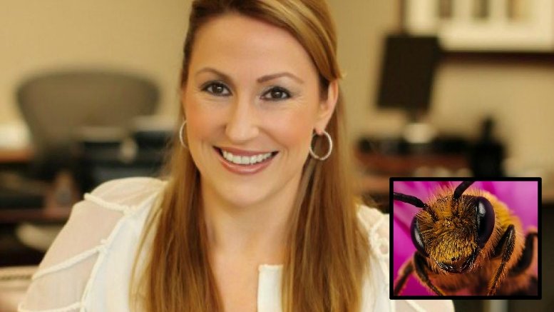 Heather Bresch bee stings 