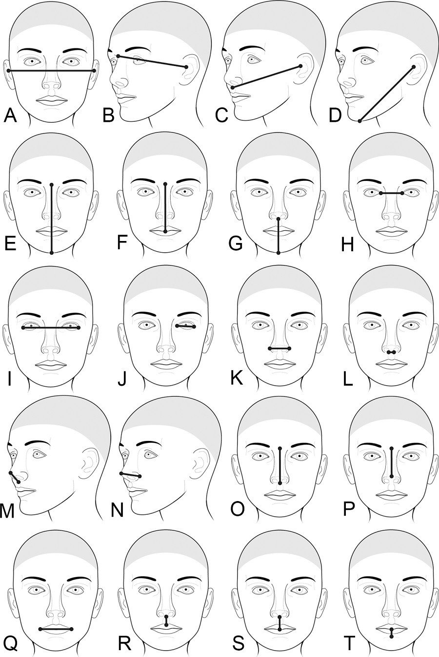 Click to enlarge facial studies