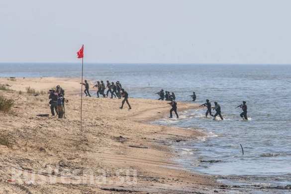 Click to enlarge People’s Militia of the DPR 7