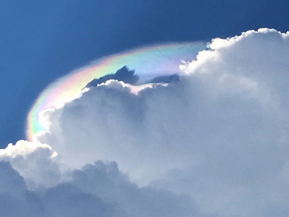 Click to enlarge Circumhorizontal arc in Georgia
