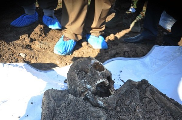 A skeleton exhumed from a mass grave containing Yazidis in the Sinjar region of northern Iraq