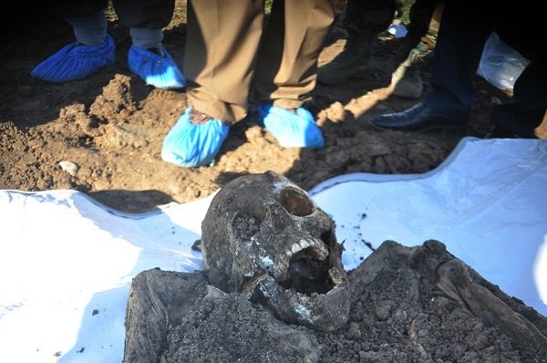 Click to enlarge A skeleton exhumed from a mass grave containing Yazidis in the Sinjar region of northern Iraq