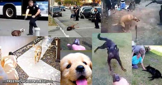 cops killing dogs montage