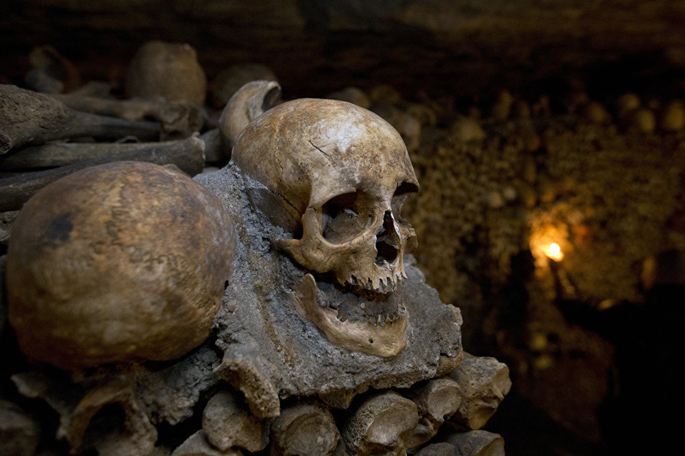 Click to enlarge Skulls and bones