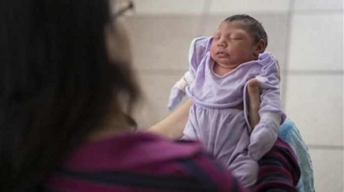 Zika virus