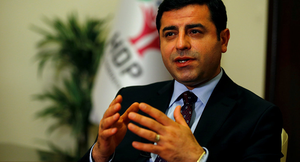 Click to enlarge Turkish Lawmaker