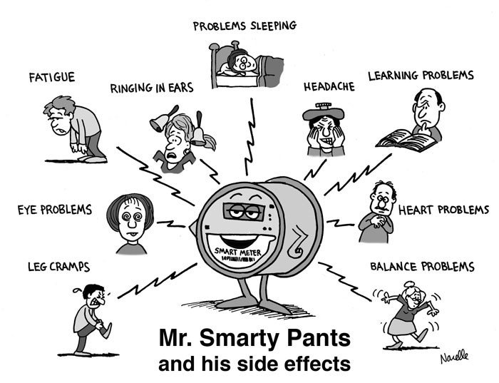 Click to enlarge Mr Smarty Pants