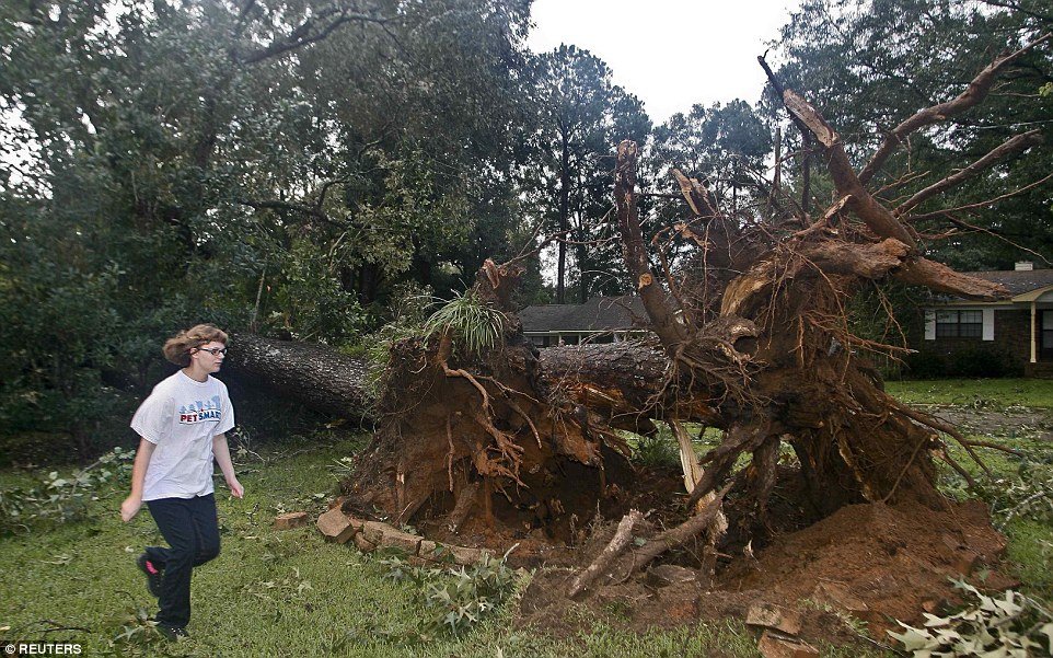 Click to enlarge hurrican hermine damage