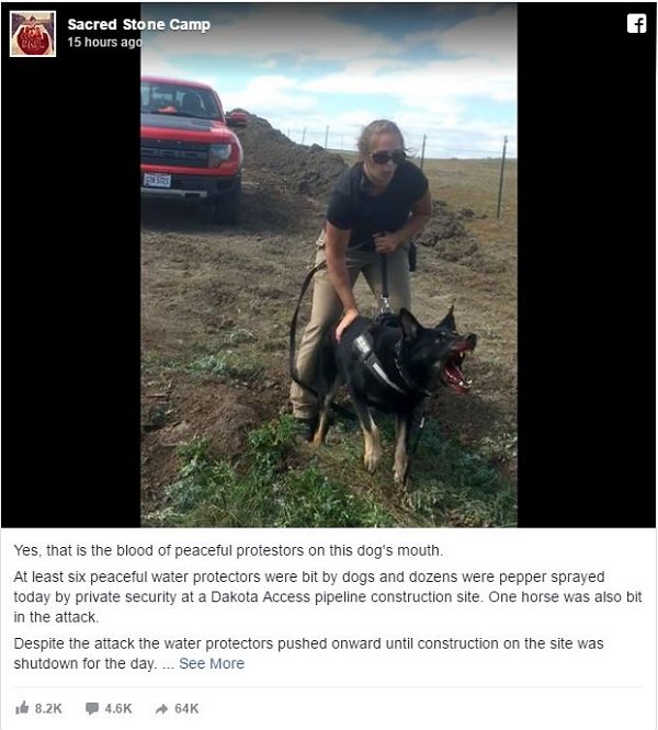 dakota access protest