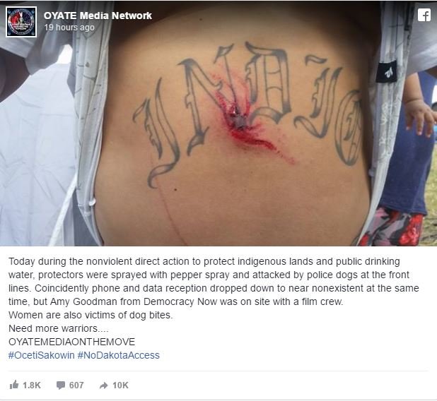 dakota access protest