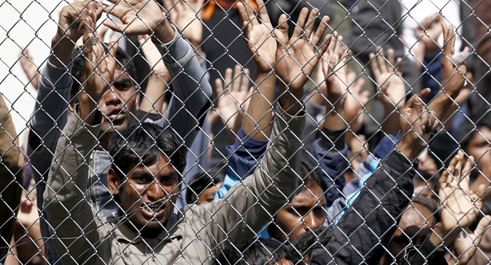 German migrants