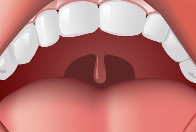 uvula