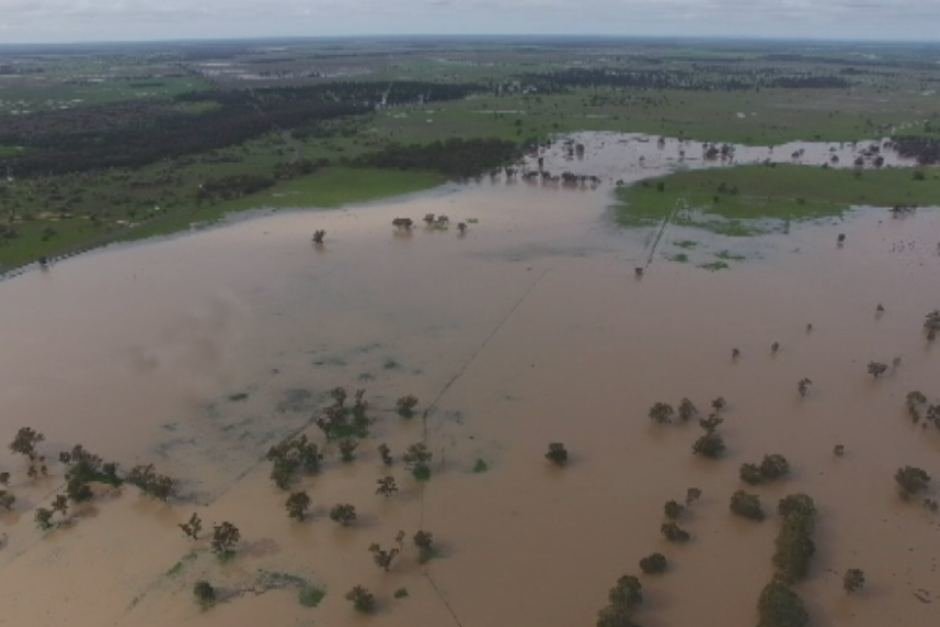 Farmers say they have lost up to 80 per cent of their crops.  