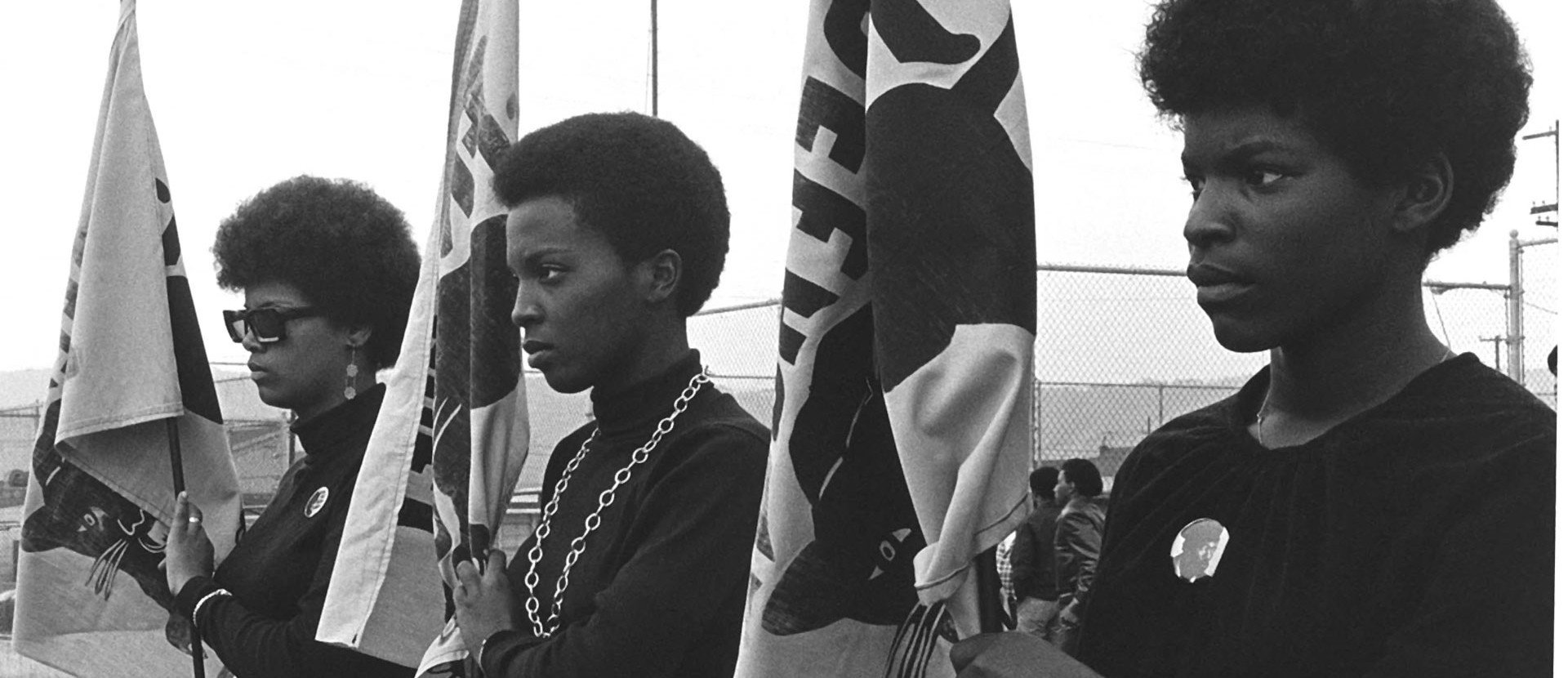Click to enlarge black panthers