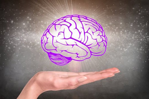 brain body connection