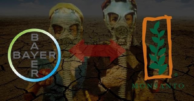 merger bayer monsanto