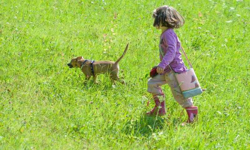 children dog bits