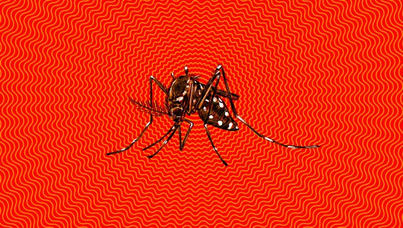 zika nwo