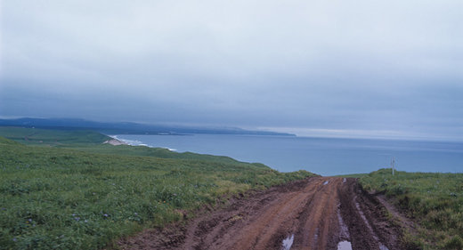 Bering Island