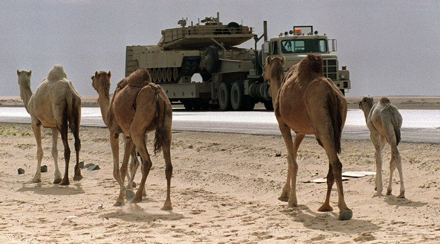 saudi camels