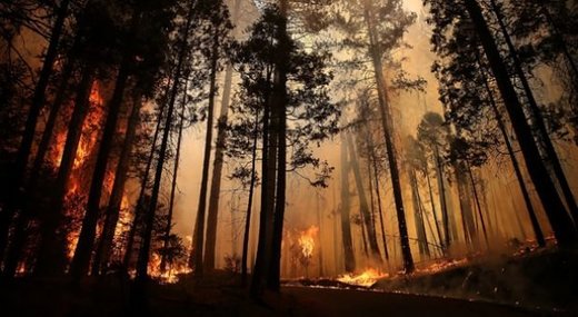 california fires