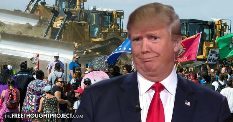 trump oil dakota