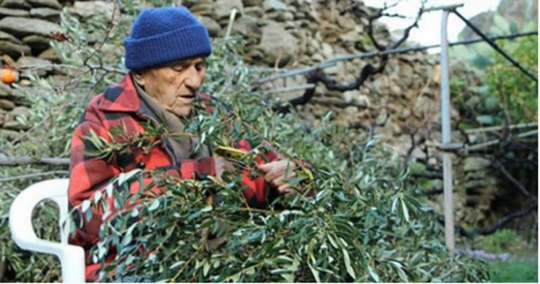 Stamatis Moraitis in vineyard