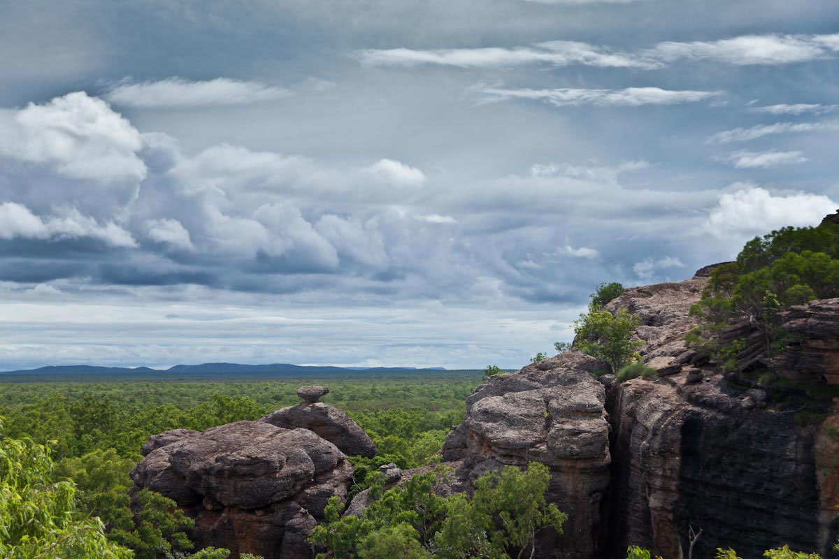 Click to enlarge vanishing wilderness
