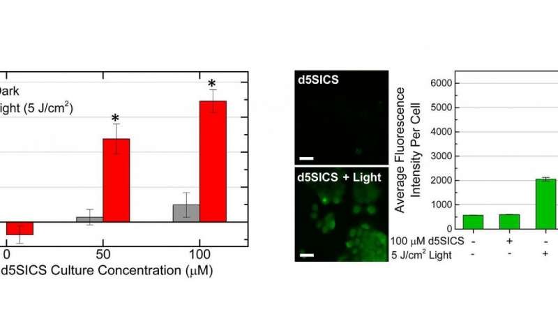 phototoxicity genetic modified skin cancer cells