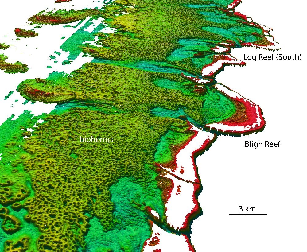 Click to enlarge bioherms in the Bligh Reef area