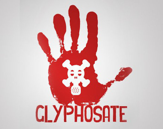 Click to enlarge glyphosate