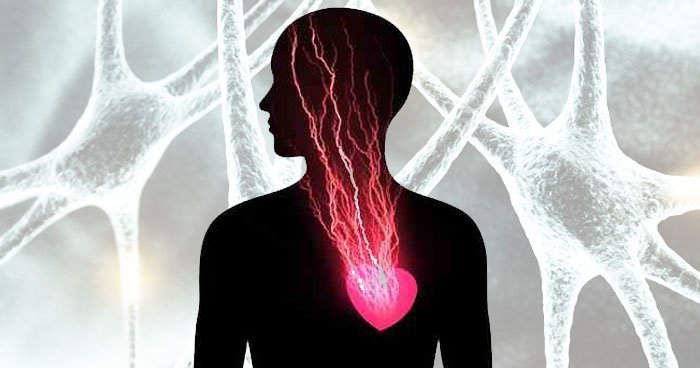 Click to enlarge Heart to Brain signals