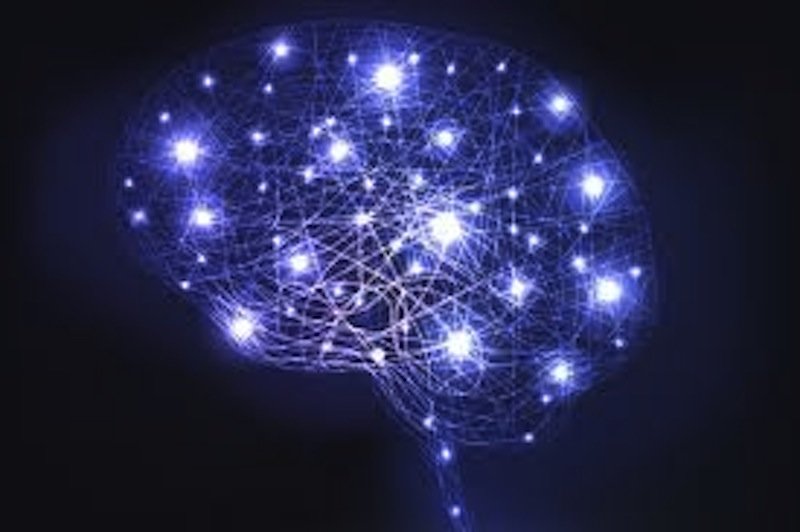 neuroplasticity