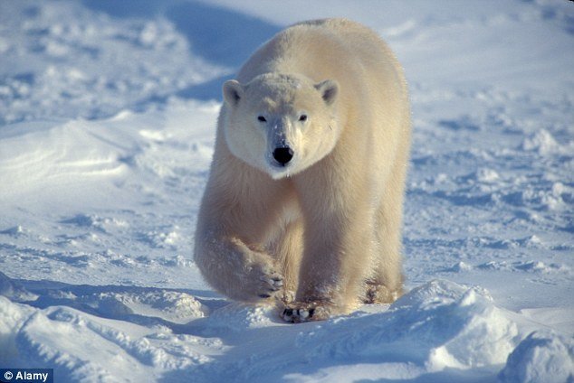 Scientists have been trapped inside an Arctic