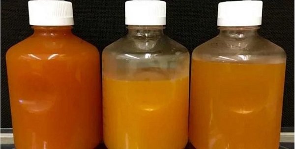 bottled bacteria