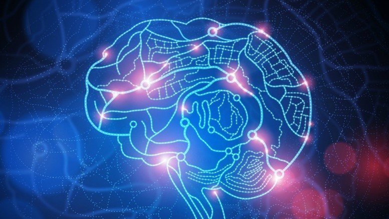 electric brain