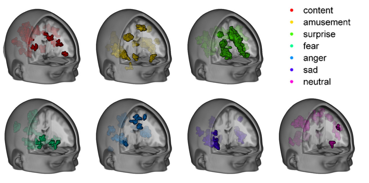 Duke brain map