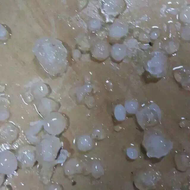 Click to enlarge hailstones