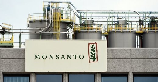 monsanto bayer merger