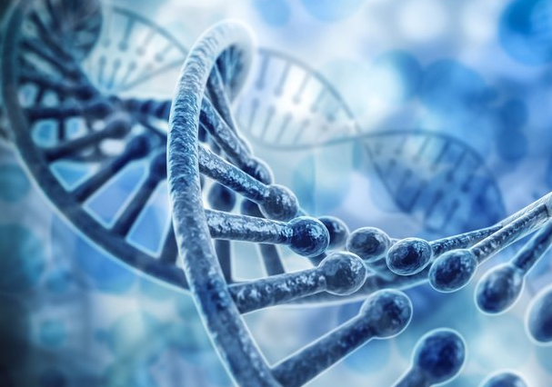 dna picture