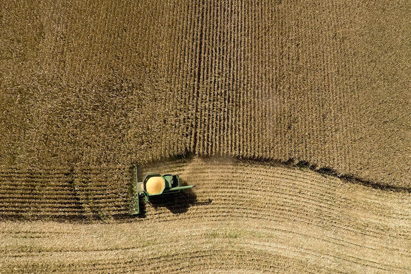 Click to enlarge big Ag
