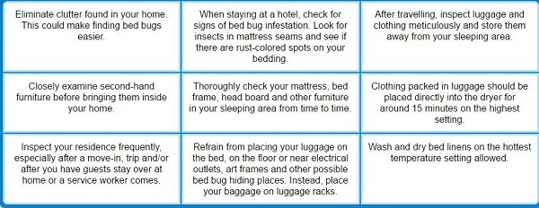 bed bug prevention guide