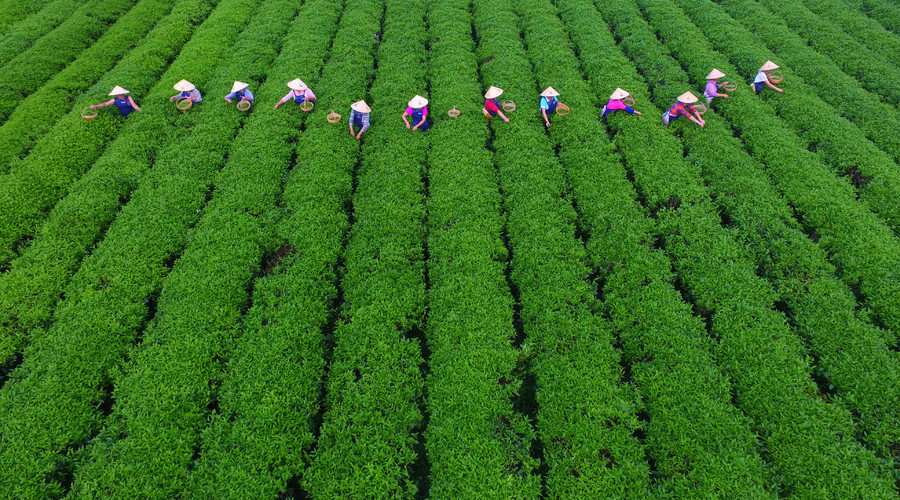 Click to enlarge China ag