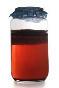 Click to enlarge kombucha