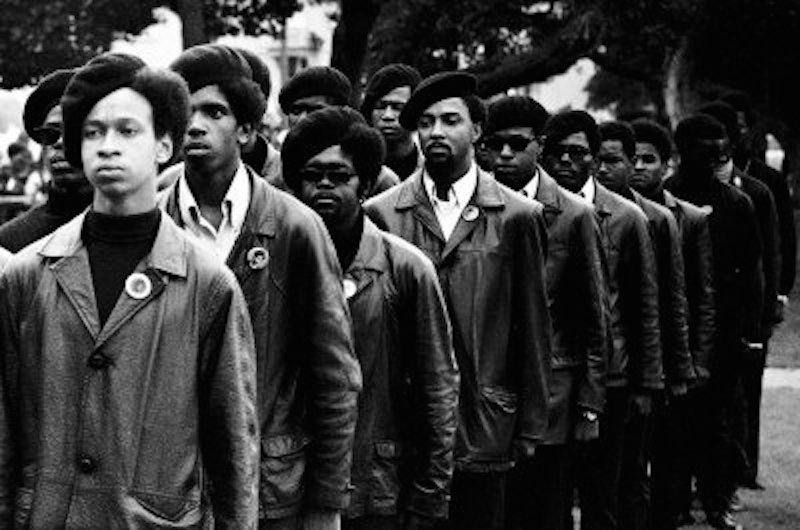 Click to enlarge Black Panthers