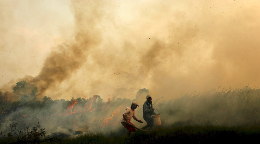 Sumatra fires