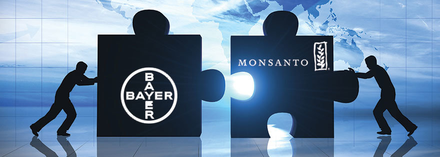 Click to enlarge monsanto & bayer