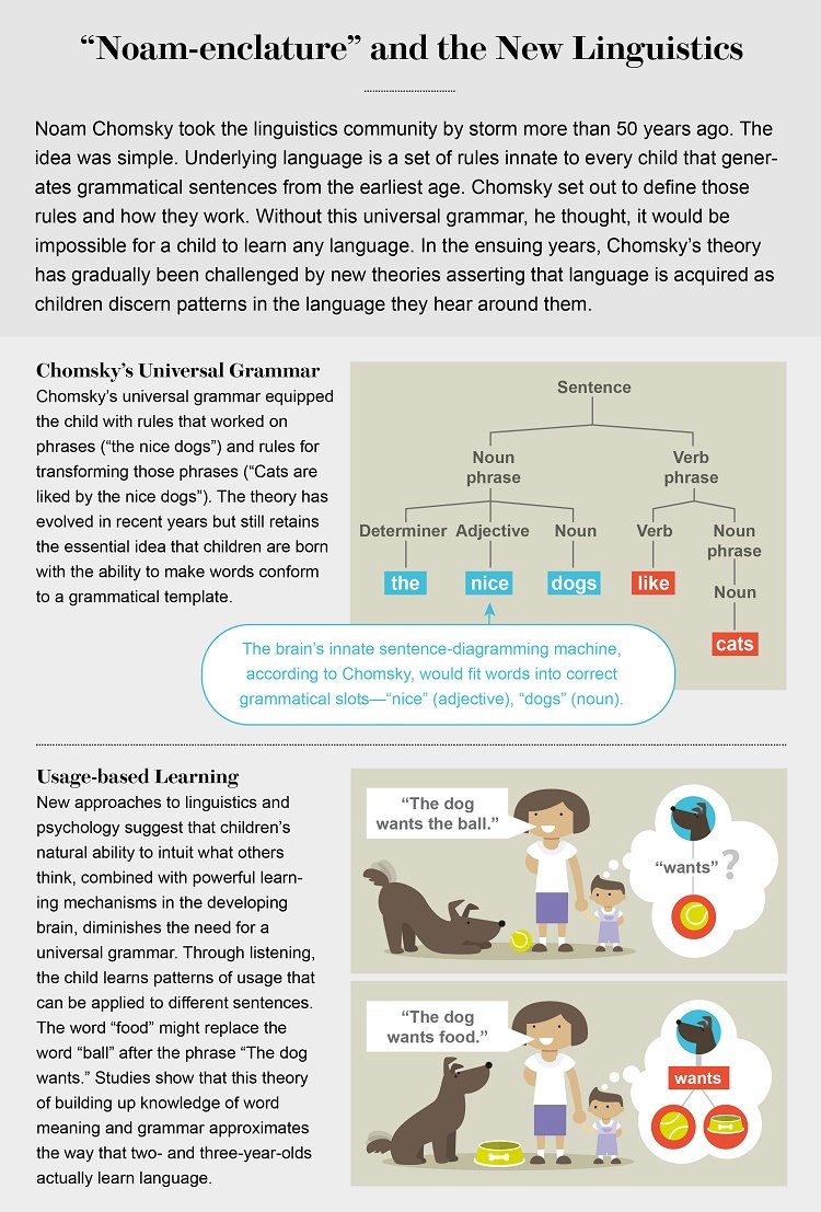 Click to enlarge Chomsky's linguistics